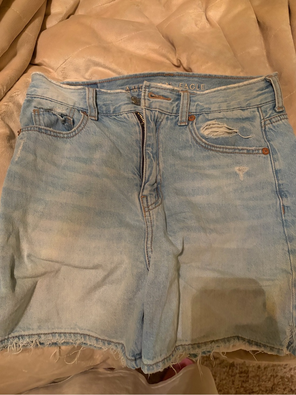 American Eagle Light Blue Denim Shorts with Embroidered Label